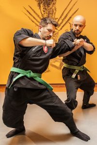 Greenbelt Mushadori Ninjutsu Hebel Training Musha Dori